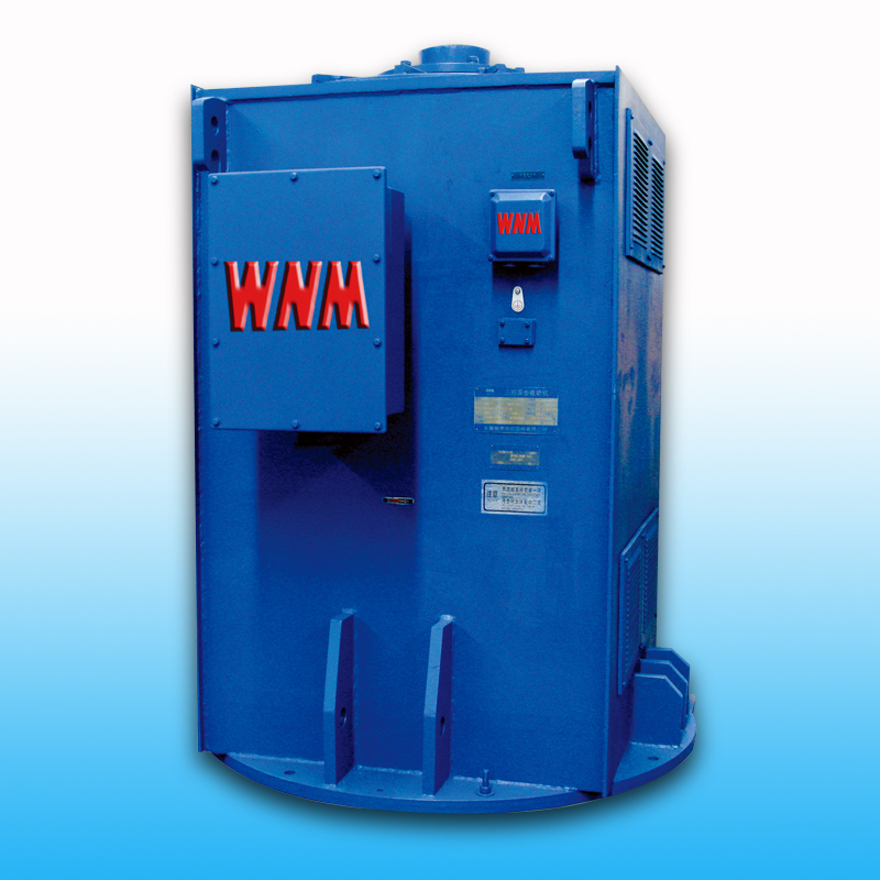 YL、YLKK系列立式電機(jī)（6KV/10KV）