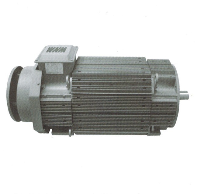 ZH4系列專(zhuān)用直流電動(dòng)機(jī)